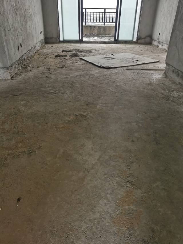客厅
