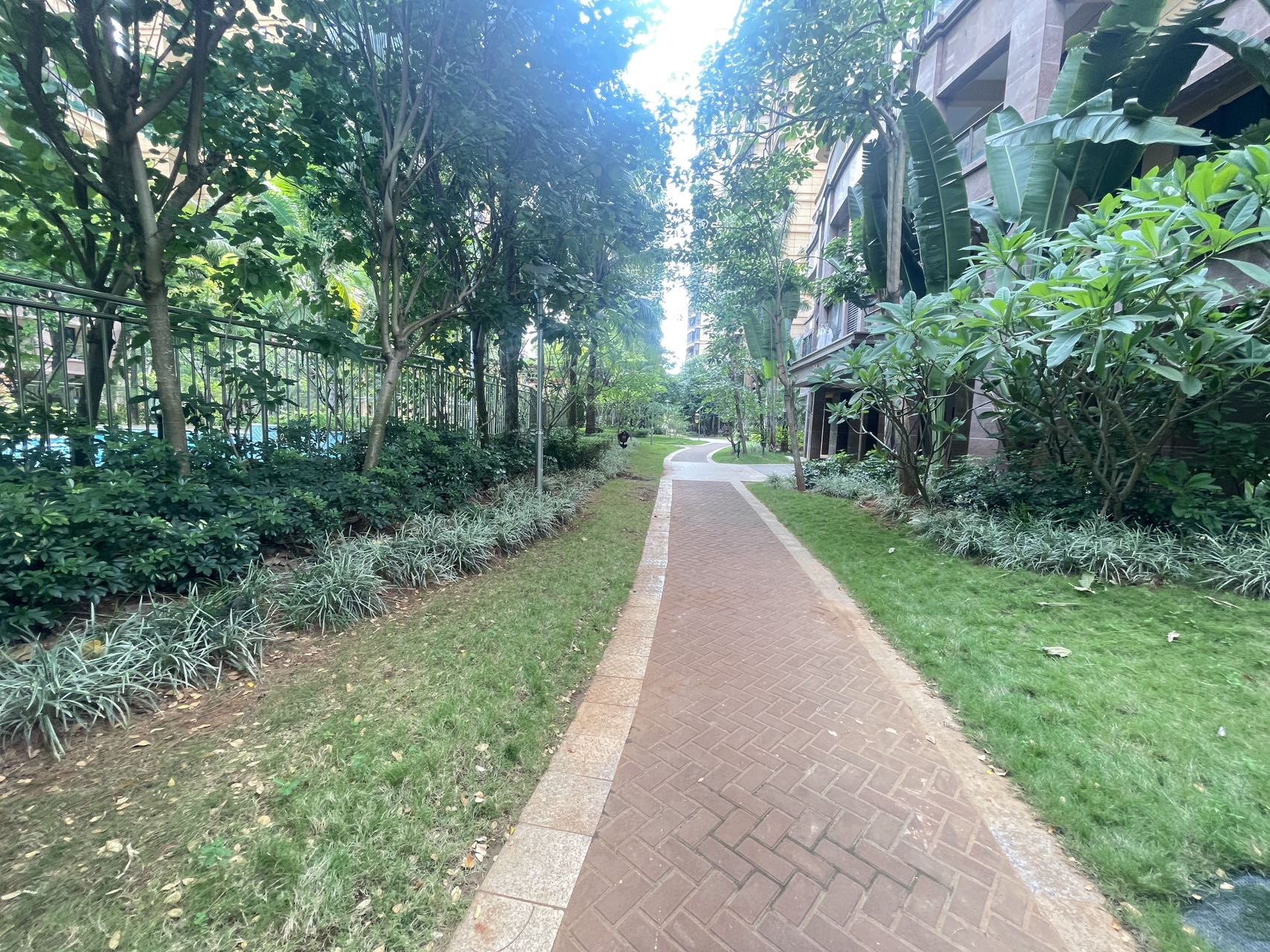外景图