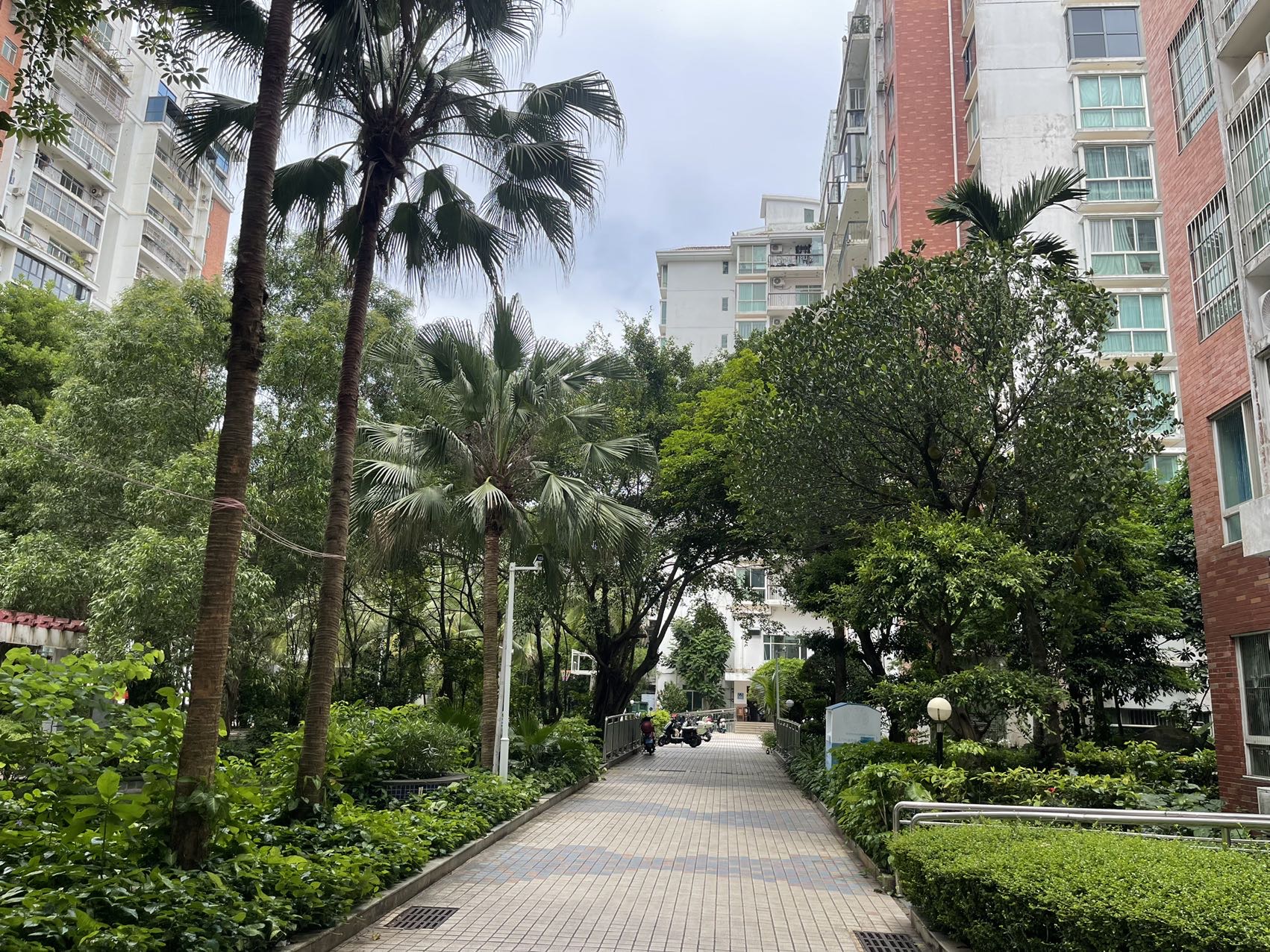 外景图