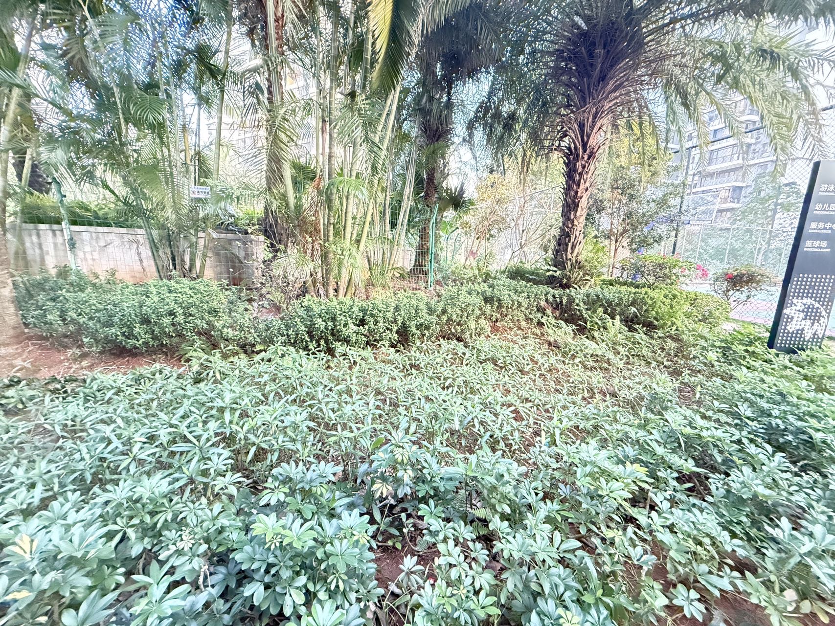 外景图