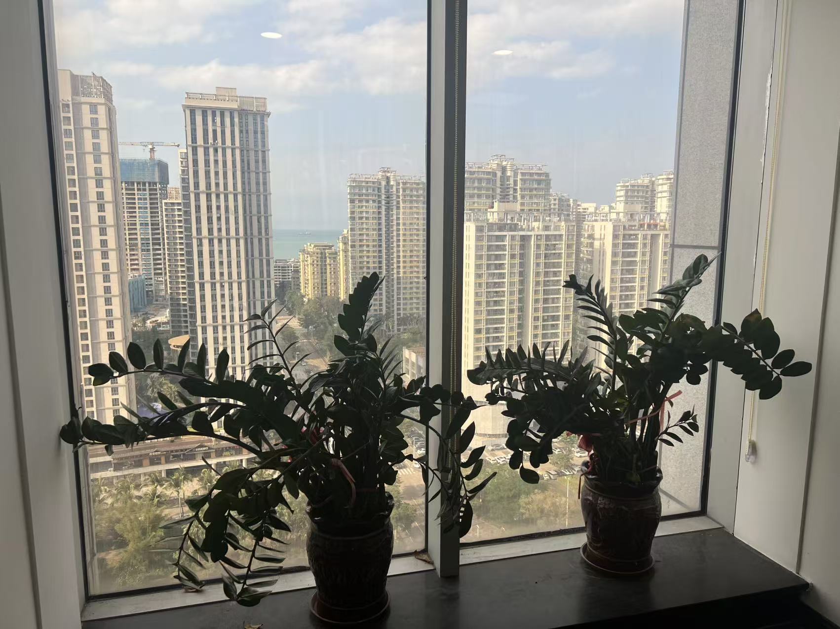 外景图