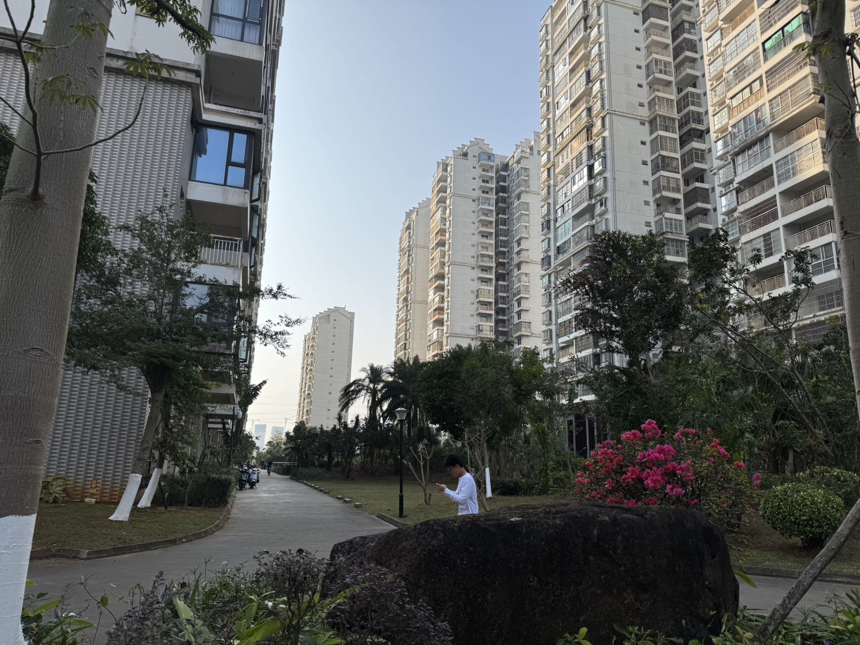 外景图