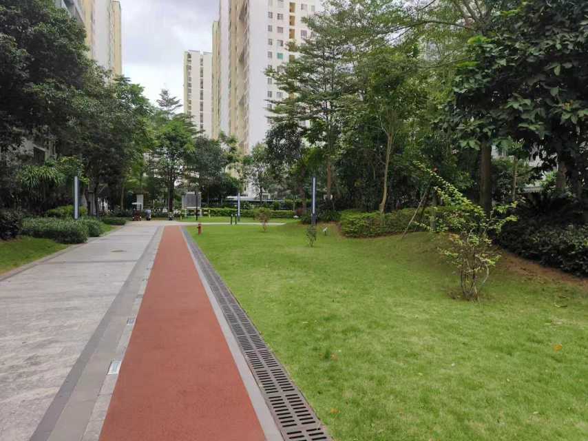 外景图