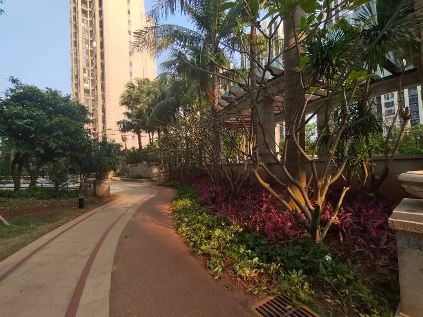 外景图