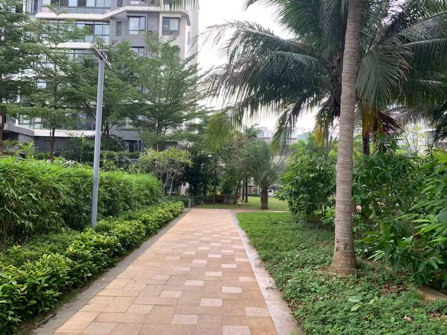 外景图