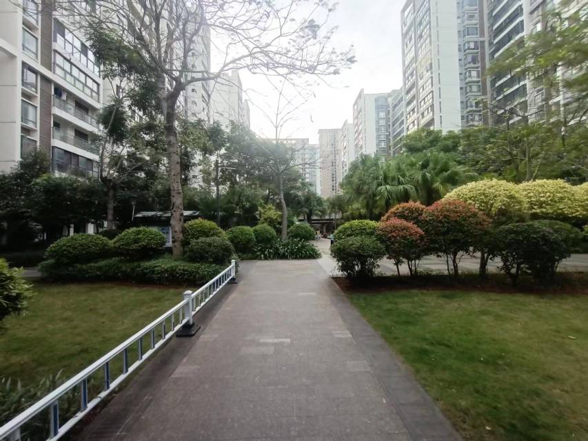外景图