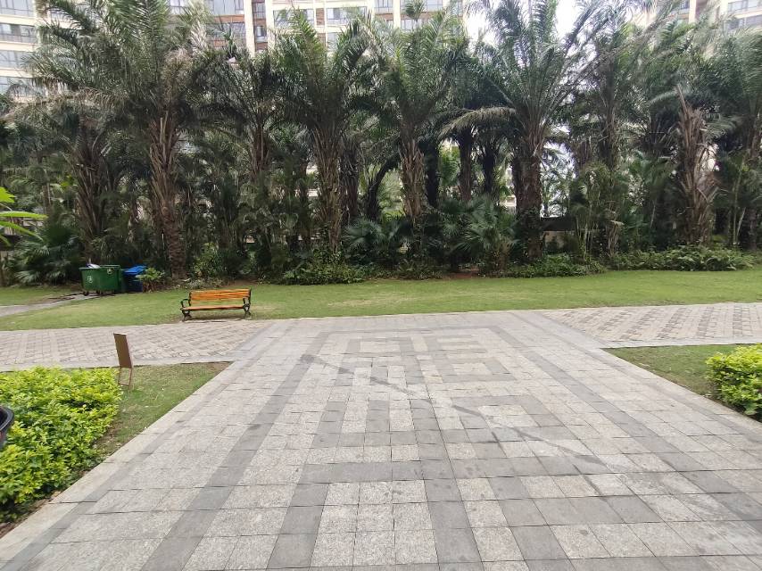 外景图
