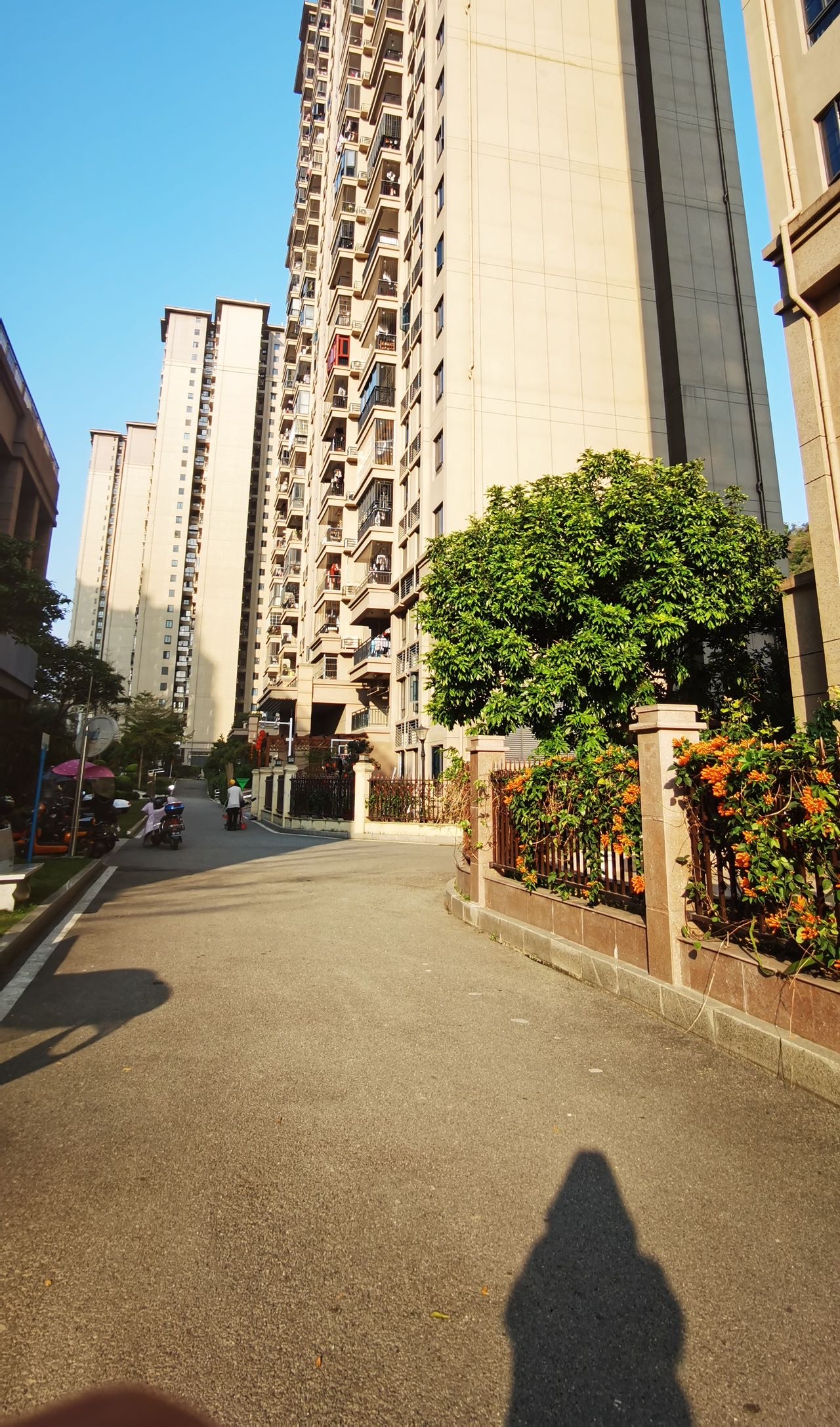 外景图