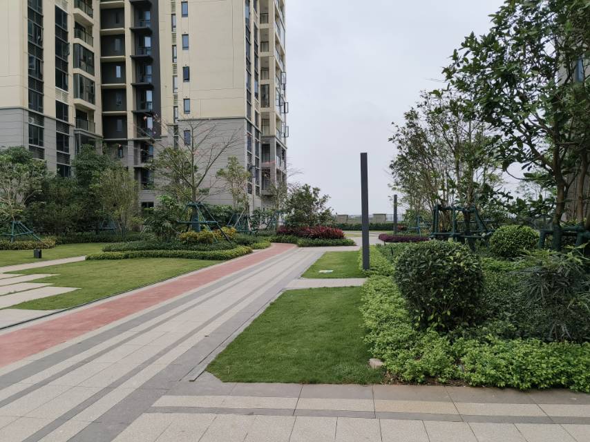 外景图