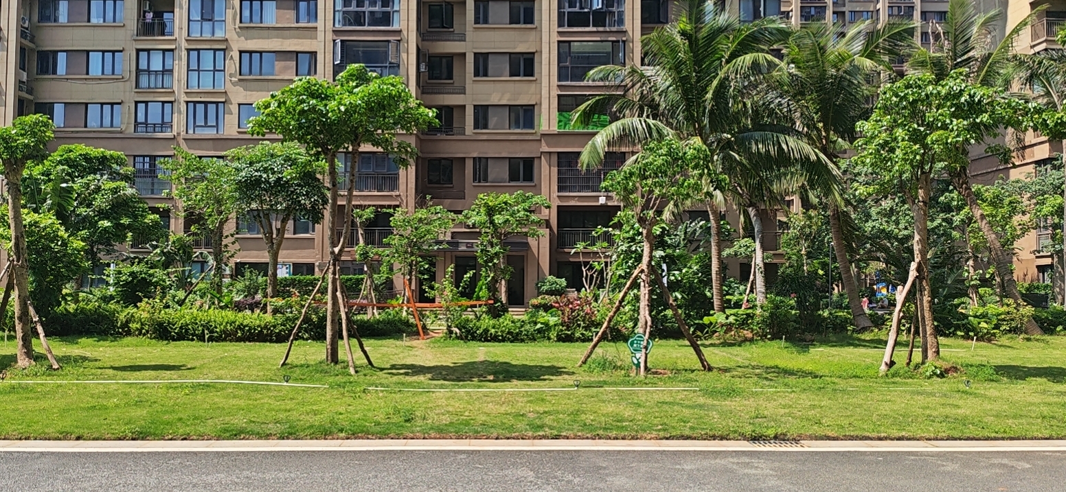 外景图