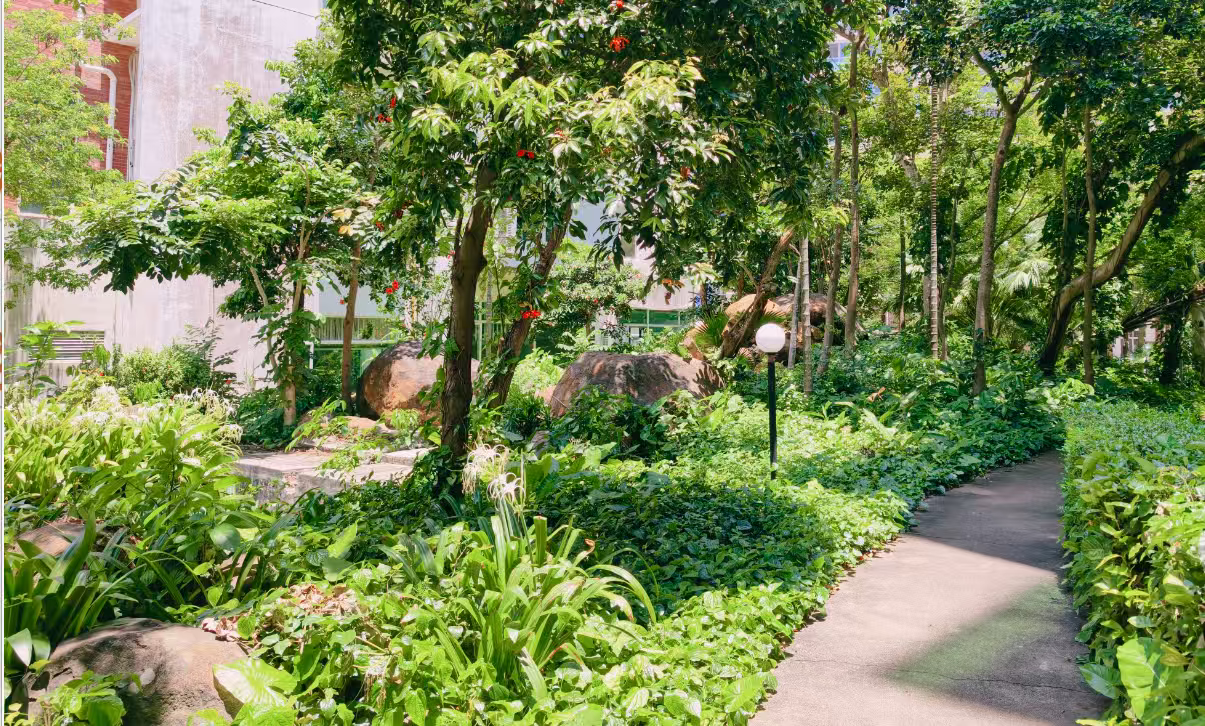 外景图