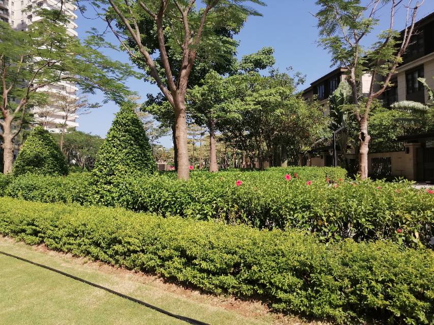 外景图