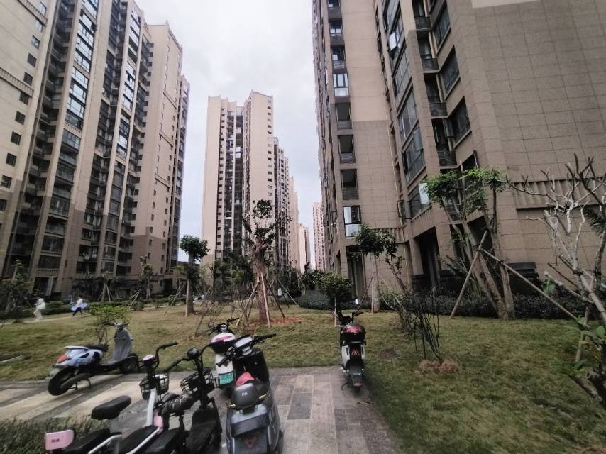 外景图