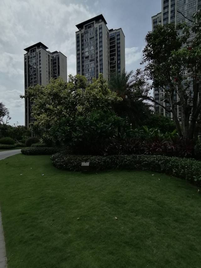 外景图