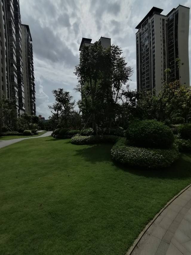 外景图