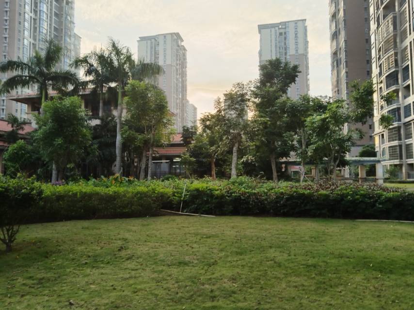 外景图