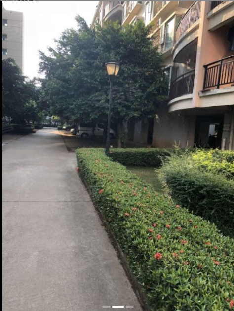 外景图