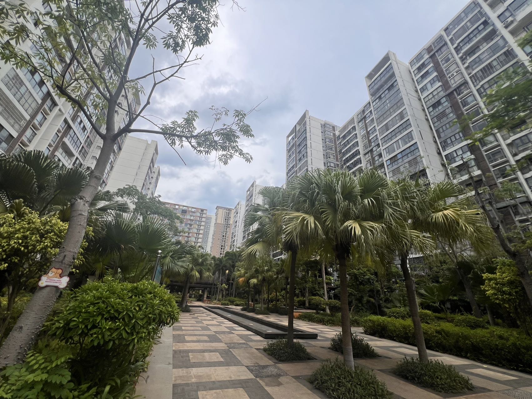外景图