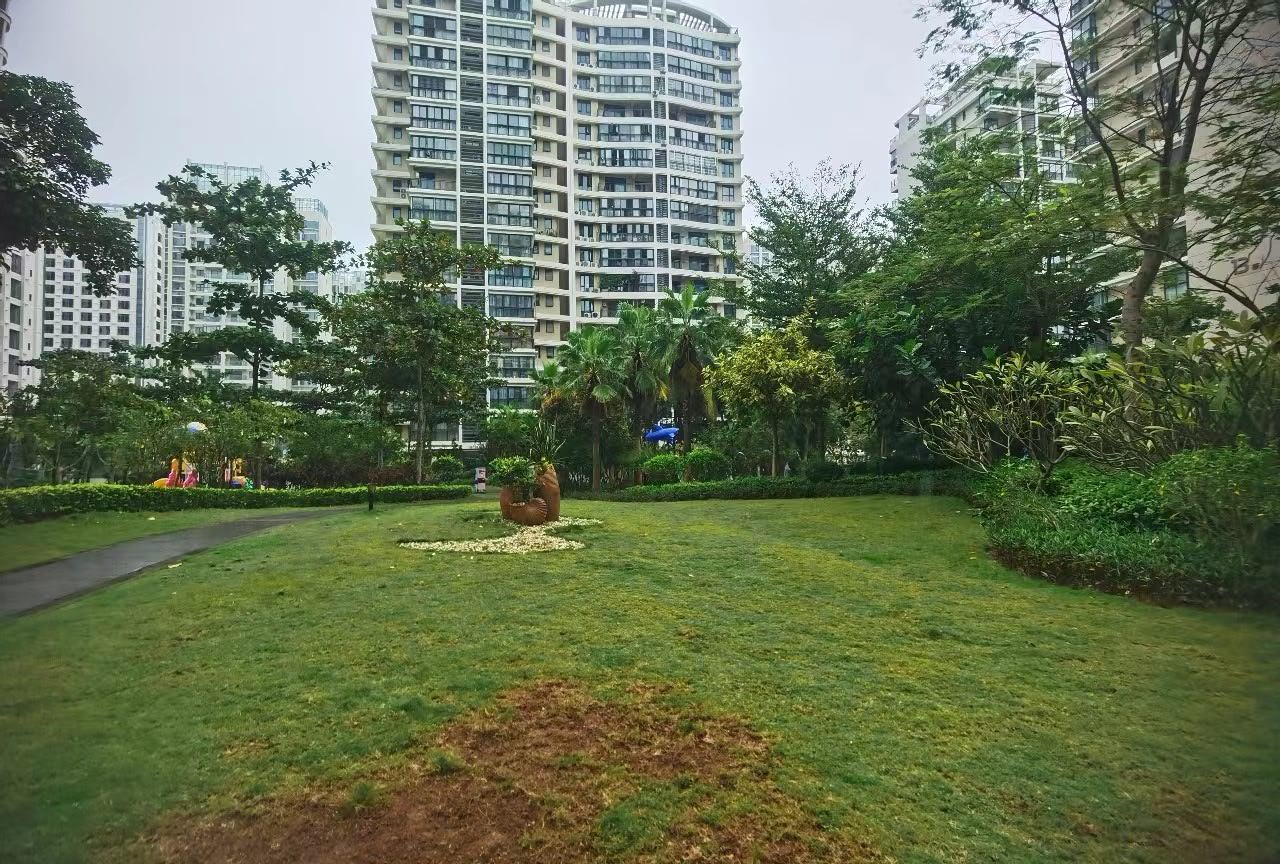 外景图