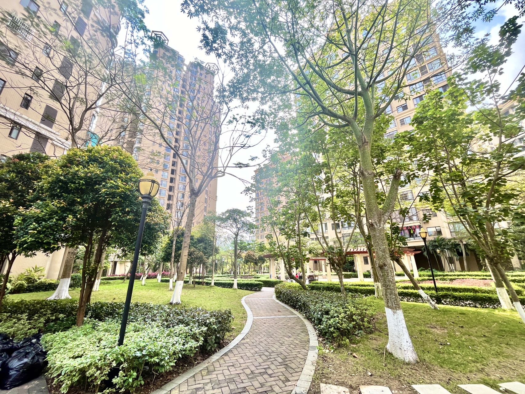 外景图