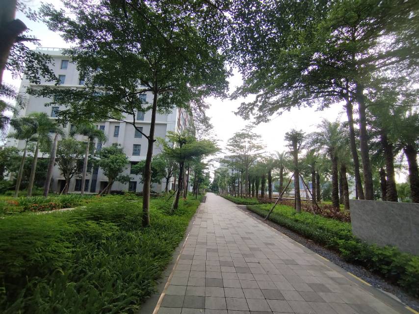 外景图