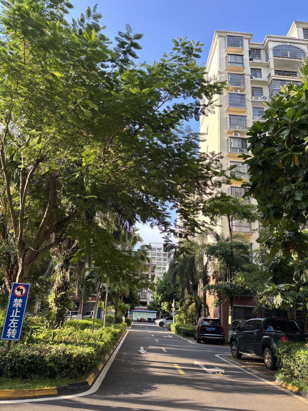 外景图