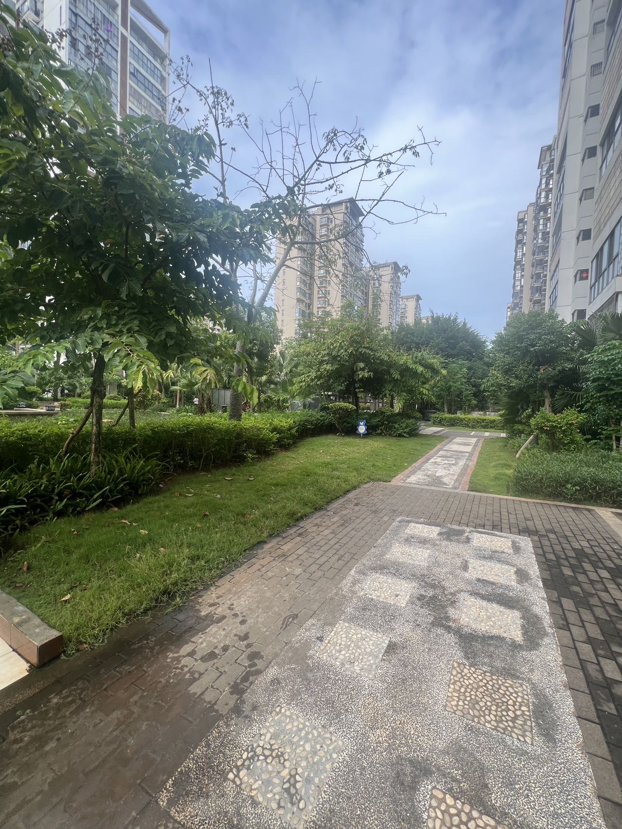 外景图