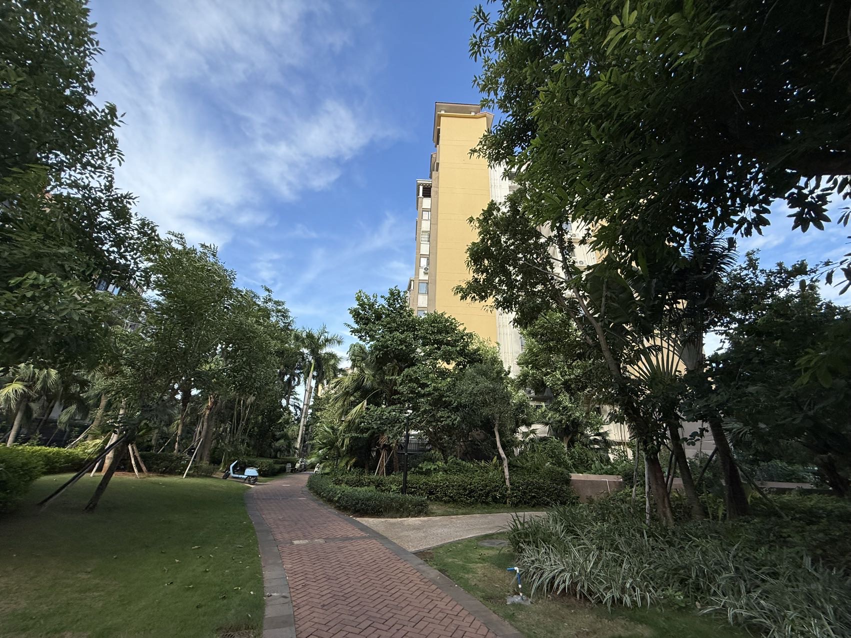 外景图