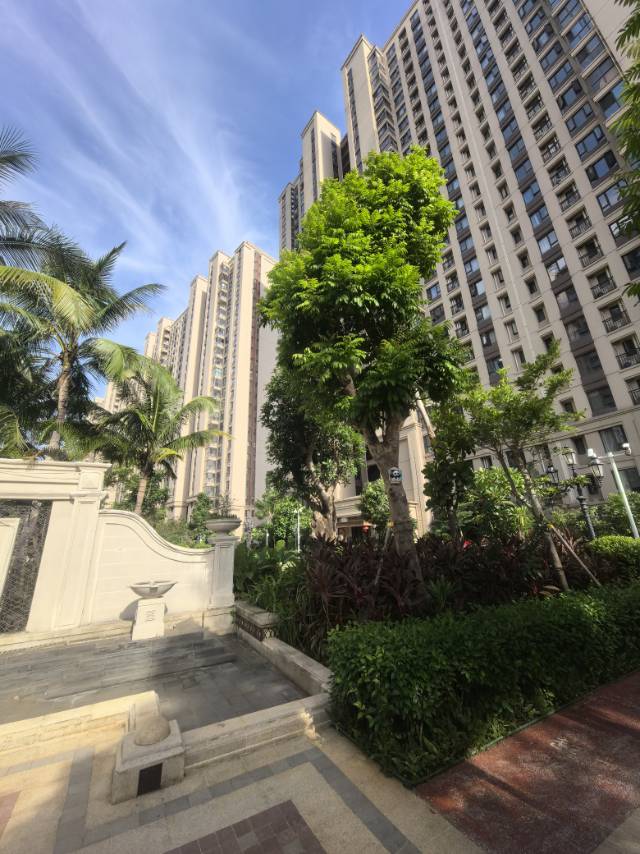 外景图