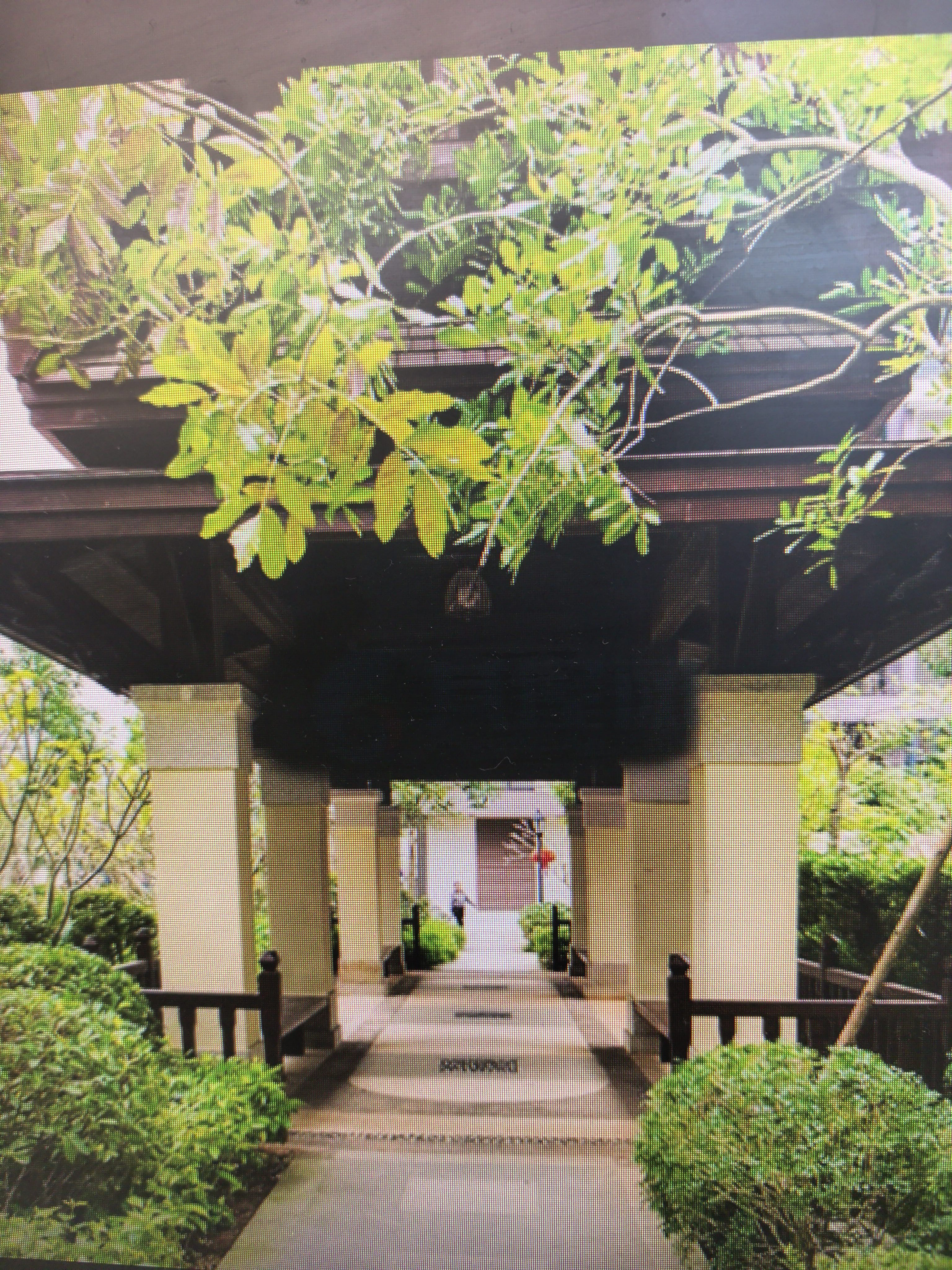 外景图