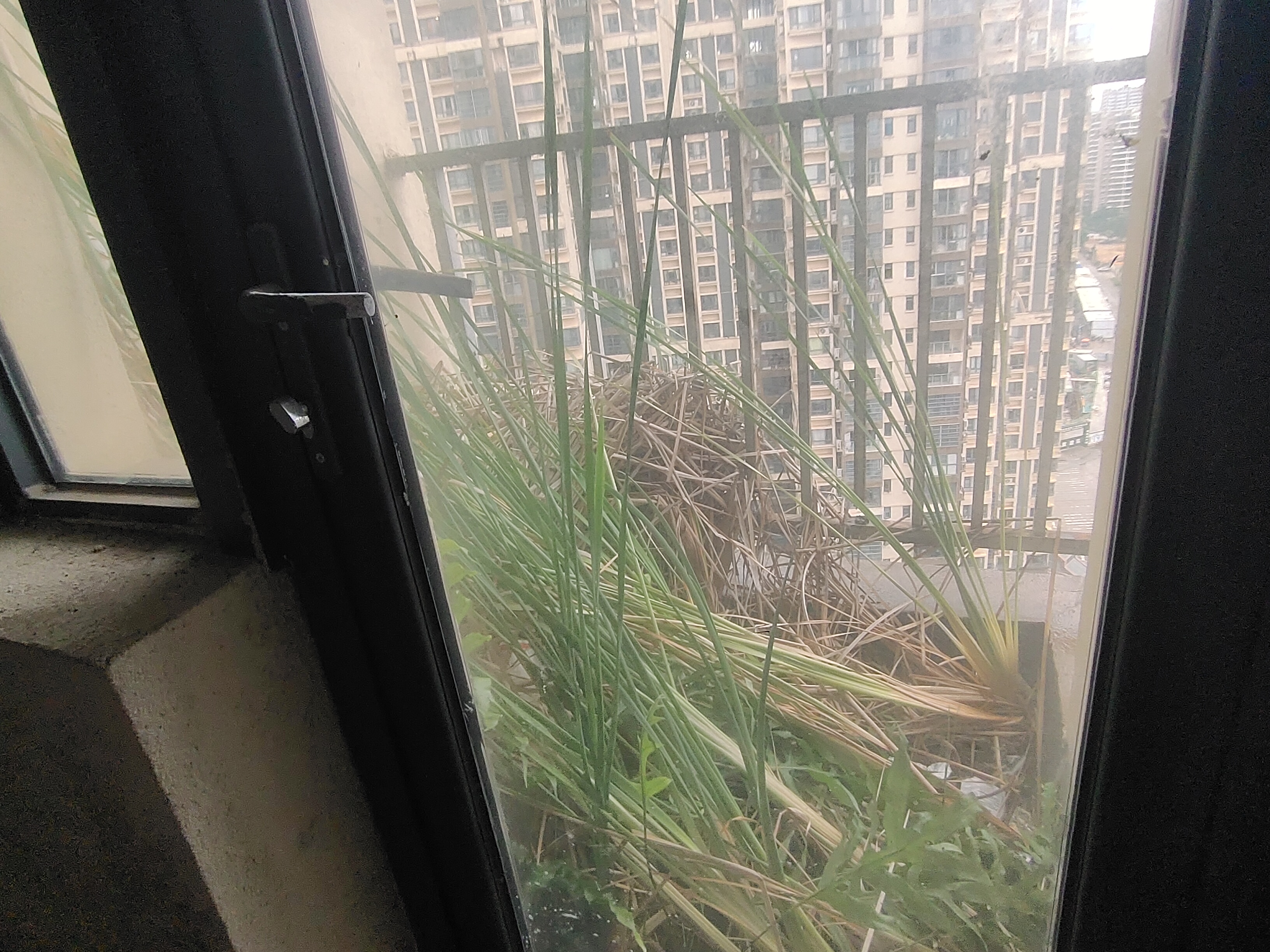 阳台