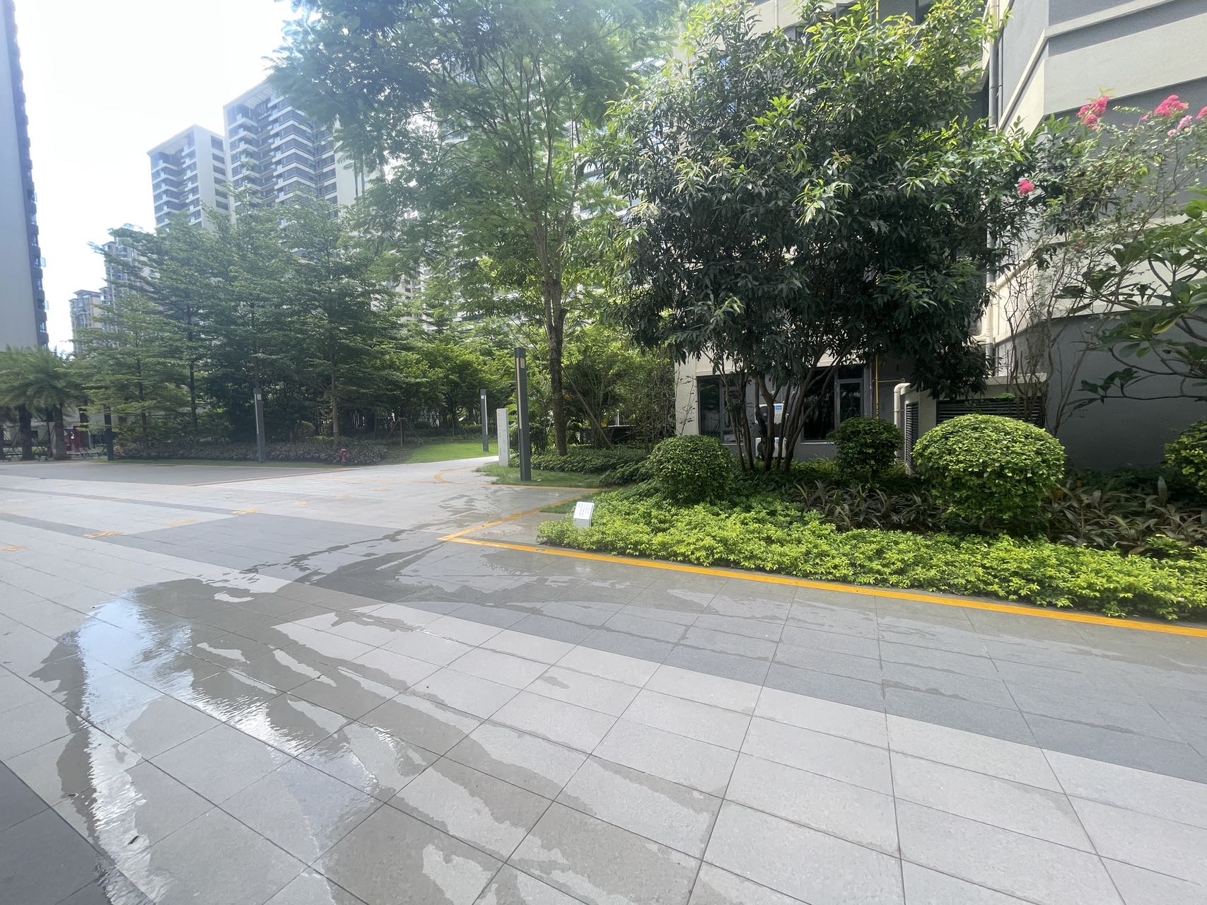 外景图