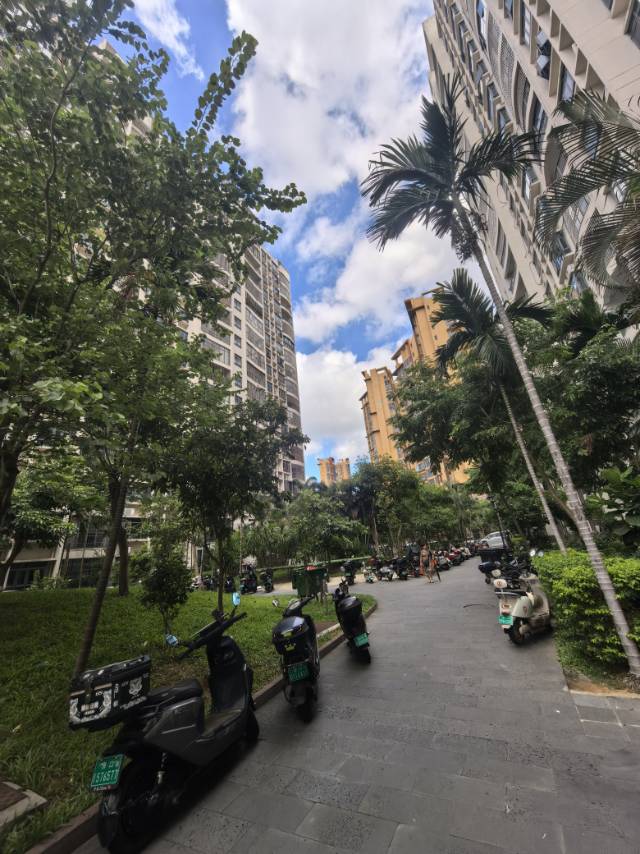 外景图
