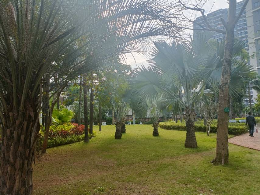 外景图