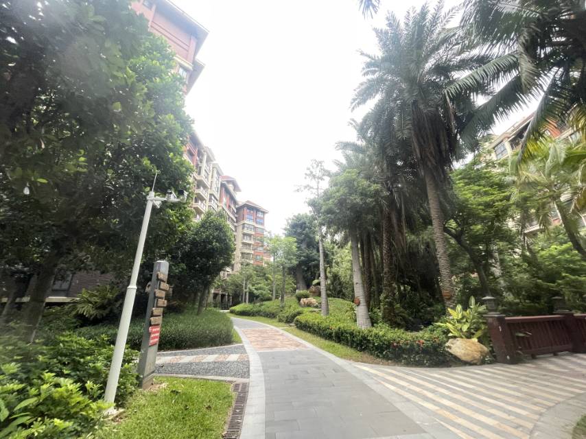 外景图