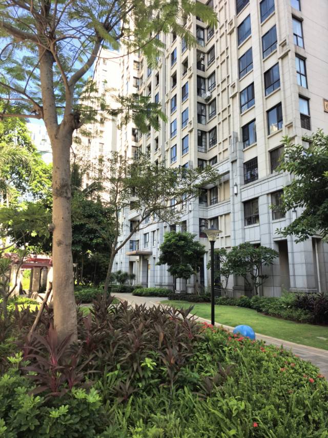 外景图
