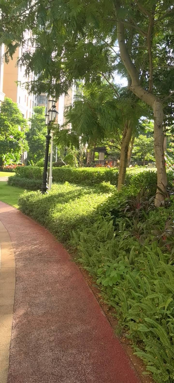 外景图