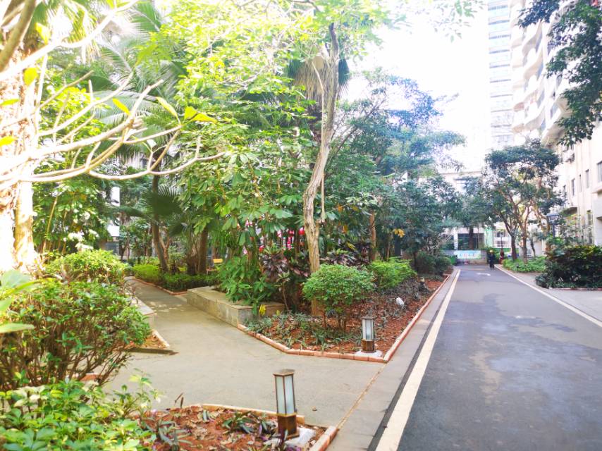 外景图