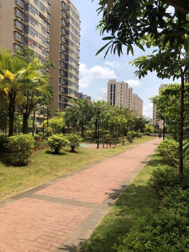 外景图